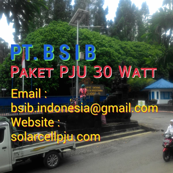 30 Watt PJU Solar Street Lights